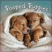 Pooped Puppies 2024 Wall Calendar 16-Month Dog Calendar 12 x 12