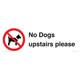 Schild mit Aufschrift "No Dogs upstairs please", 450 x 150 mm, L41