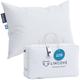 Lincove 100% Goose Down Luxury Sleeping Pillow - Enhance Your Sleep With The Ultra Soft Down Rãšvuer Bed Pillow 800 Fill Power 600 Thread Count (20"x26" Inches)