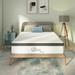 Queen Medium 10" Hybrid Mattress - Nap Maxima | 60 H x W 10 D in Wayfair NQIH10QQ