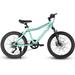 20 In. Steel Mountain Bike with 7 Speed for Kids