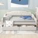 Full Size Upholstered Tufted Daybed Bed with 2 Drawers for Home, Bedroom