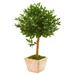 Nearly Natural 3 Olive Topiary Artificial Tree in Terra Cotta Planter UV Resistant (Indoor/Outdoor)