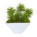 Nearly Natural Succulent Garden Artificial Plant in Oval White Vase