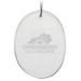 Owensboro Community and Technical College 2.75'' x 3.75'' Glass Oval Ornament