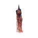 The Holiday Aisle® Hanging Witch Head Halloween Figure Plastic in Orange | 4 H x 48 W x 9.5 D in | Wayfair 5EA0FC22A4024D2A94A104D0FA69D59D