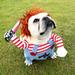 DYHF Deadly doll Dog Costumes scary dog Clothes Cosplay chucky doll dog costume Wear a hat Funny Dog party clothes christmas costume