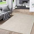 Print Area Rug Low Pile Non-Slip Abstract Distressed Door Mat Floor Carpet