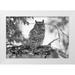 The Yellowstone Collection 14x11 White Modern Wood Framed Museum Art Print Titled - Great Horned Owl in Fort Yellowstone Yellowstone National Park