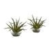 Nearly Natural Aloe Artificial Plant in Slanted Vase (Set of 2)