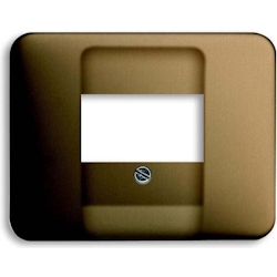 Busch-Jaeger Zentralscheibe brz 1766-21 2CKA001753A2637 Image