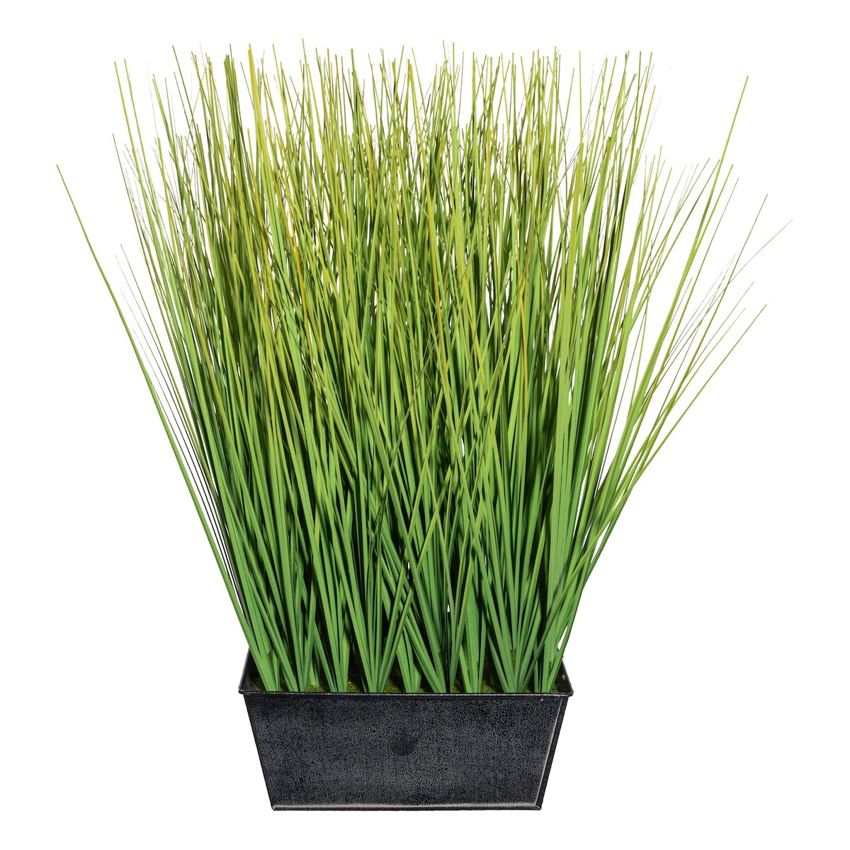 CREATIV green künstliche Pflanze Gras,ca 46cm grün im Zinkkasten schwarz 20x14x9cm Image