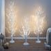 The Holiday Aisle® Birch 48' Traditional Christmas Tree w/ LED Lights & Remote Control, Christmas Tree | Wayfair 354178D0664A49A5A9FC266D4B0F6E93