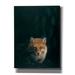 Loon Peak® Red Barrel Studio® 'Wild Heart ' By Joh Naito, Canvas Wall Art Metal in Brown | 54 H x 40 W x 1.5 D in | Wayfair