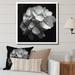Latitude Run® Gray White Hydrangea Bloom I On Canvas Print Canvas, Cotton | 16 H x 16 W x 1 D in | Wayfair BA094299E80E4BEDB99853A0BC4D5F68