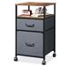 17 Stories Movable Filing Cabinet w/ 2 Drawers Metal/Steel in Gray/Brown | 26.8 H x 15.4 W x 15.7 D in | Wayfair 5BAFD03123614610A0940FAD0E55FE4E