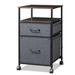 17 Stories Movable Filing Cabinet w/ 2 Drawers Metal/Steel in Gray | 26.8 H x 15.4 W x 15.7 D in | Wayfair 47BF0C3D59C641708D24193C562B7B8F