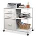 Latitude Run® Karryn 29.5 Wide File Cabinet Metal/Steel in White | 26.7 H x 29.5 W x 15.8 D in | Wayfair 872FDDEFCFD643AE92F44455EAFE2129