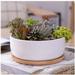 Succulent Planter - Round