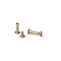 TRUBIND Chicago Screw and Post Sets - 3/4 inch Post Length - 3/16 inch Post Diameter - Antique Brass Aluminum Hardware Fasteners - 100 Screws with 100 Posts for Albums Scrapbooks - (100 Sets/Bx)