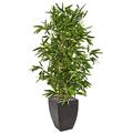 Nearly Natural 5 Bamboo Artificial Tree in Black Planter (Real Touch) UV Resistant (Indoor/Outdoor)