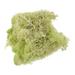 Uxcell 3.5 OZ Moss Preserved Moss Artificial Moss for Craft Floral Project Table Decor Yellow Green