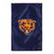 Chicago Bears 28