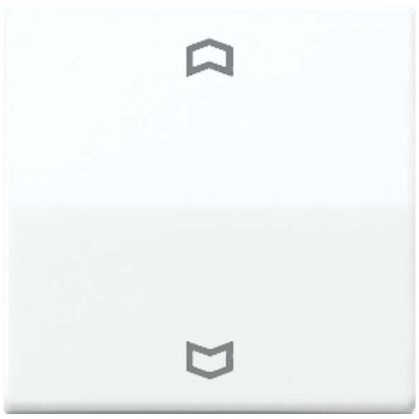 Jung Wippe Symbole ws AS 591 P AS591P Image