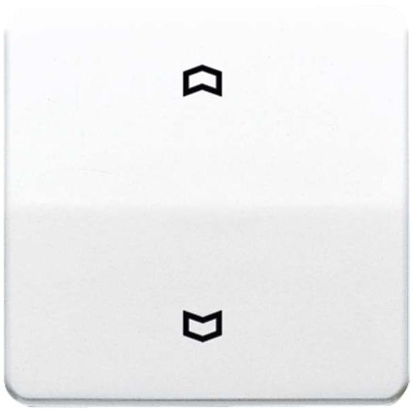 Jung Wippe Symbole ws CD 590 P CD590P Image