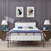 August Grove® Bernace Tufted Platform Bed Wood & /Upholstered/Velvet in Brown | 57.1 H x 63 W x 83.07 D in | Wayfair