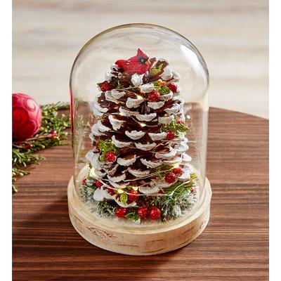 1-800-Flowers Everyday Gift Delivery Cardinal Pinecone Cloche By Kissing Krystals