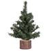 The Holiday Aisle® Vickerman Mini Pine Ariticial Christmas Tree w/ 6' Artificial Pine Christmas Tree, Wood in Green | Wayfair