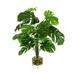 Primrue Rockwood 25" Artificial Philodendron Plant in Vase Glass/Polysilk | 25 H x 20 W x 20 D in | Wayfair FFD833AF6C79430DA0D434E67B134B90