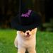 Halloween Pet Hat Non Woven Creative Novel Dog Hat Cute Daily Pet Dog Hat