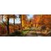 Autumn Mood Autumn Colorful Leaves Autumn Forest - Laminated Poster Print - 20 Inch by 30 Inch with Bright Colors and Vivid Imagery