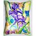 Betsy Drake Two Irises Indoor & Outdoor Throw Pillow 16 x 20 in.