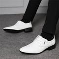 LYCAQL Men Shoes Fashion Summer And Autumn Men Leather Shoes Low Heel Pointed Toe Lace Solid Color Business Men Tennis Shoes Leather (White 11.5)