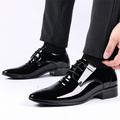 LYCAQL Men Shoes Fashion Summer And Autumn Men Leather Shoes Pointed Toe Low Heeled Lace Up Solid Dress Tennis Shoes for Men Leather (Black 10)