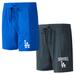 Men's Concepts Sport Royal/Charcoal Los Angeles Dodgers Two-Pack Meter Sleep Shorts