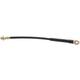 1979-1981 Chevrolet Camaro Front Brake Hose - Raybestos BH36845