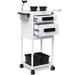 TASALON Upgrade Two Tier Rolling Trolley Cart w/ Lockable Drawer, Metal in White | 34 H x 14.5 W x 12.59 D in | Wayfair T-508W