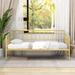 Ebern Designs Bruceton Twin Metal Daybed Metal in Yellow | Wayfair 9F5AFF07E95144A3B77A5A10DE6CC24B