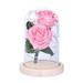 Biplut Artificial Rose LED Glass Bottle Lamp Night Light Home Decor Valentine Gift (Pink)