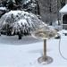 Weloille Bird Bath Heater For Outdoors In Winter - 10 W Birdbath Deicer With Thermostatic Control And 4.3 Ft Long Power Cord Energy Saving For Garden Yard Patio