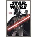Star Wars: Saga - Darth Vader Feature Series Wall Poster 14.725 x 22.375 Framed