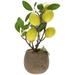 TOYMYTOY Artificial Potted Lemon Tree Realistic Lemon Bonsai Artificial Fruit Tree Decor