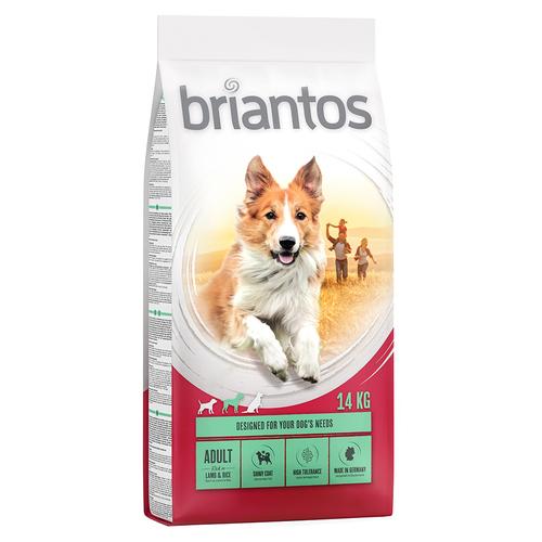 Briantos Trockenfutter 14/ 12 kg zum Sonderpreis! - Adult Lamm & Reis 14 kg