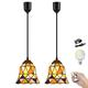 Kiven Battery Operated Tiffany Style Pendant Light with Remote Timer Dimmable Rechargeable Hanging Pendant Light with Glass Shade Adjustable Height(2-Light)