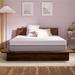 Twin 11" Foam Mattress - Purple Plus | 75 H x 38 W 11 D in Wayfair 10-21-23961