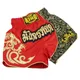 MMA Jujitsu Fight Grappling Men's Boxing Pants kickboxing MMA shorts Short Tiger Muay Thai boxing